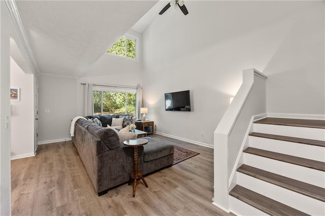 living room featuring light hardwood / wood-style floors, high vaulted ceiling, and plenty of natural light