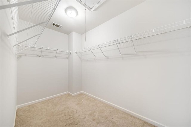 walk in closet featuring carpet floors