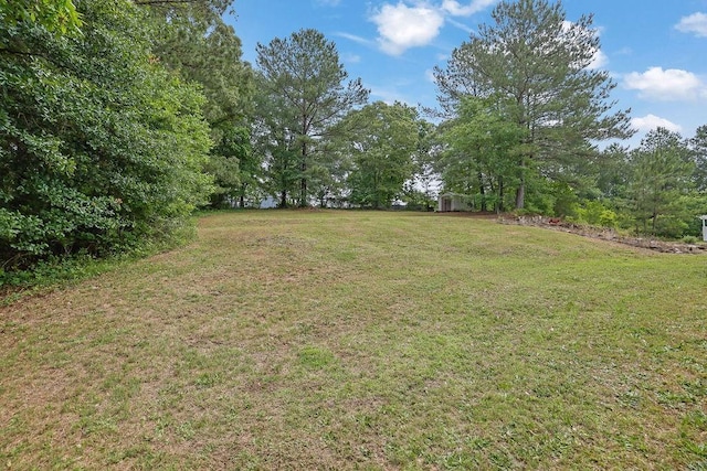 view of grassy yard