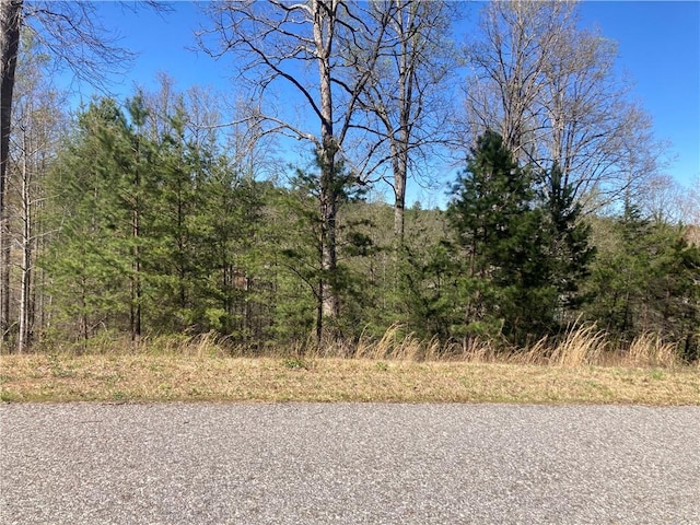 0 Coras Way, Blairsville GA, 30512 land for sale