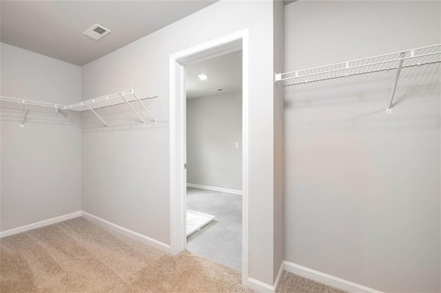 113 Canal St, Hampton, GA 30228 - spacious closet with carpet