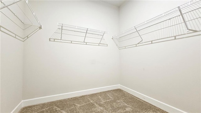 walk in closet with carpet