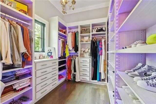 walk in closet with wood finished floors