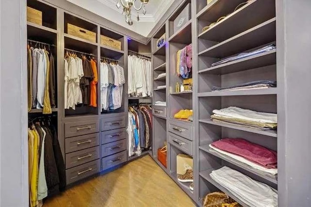spacious closet with light wood-style flooring