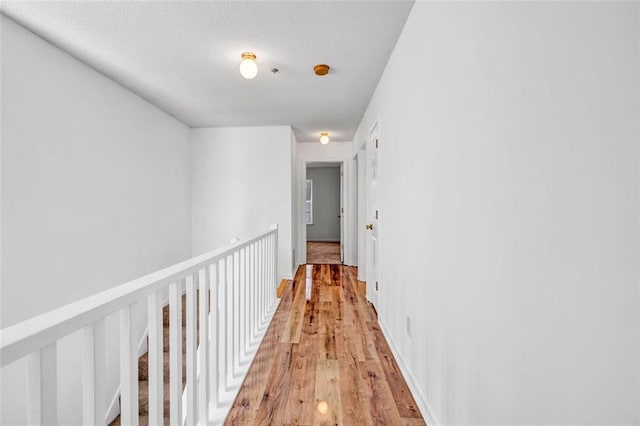 hallway featuring light wood-type flooring