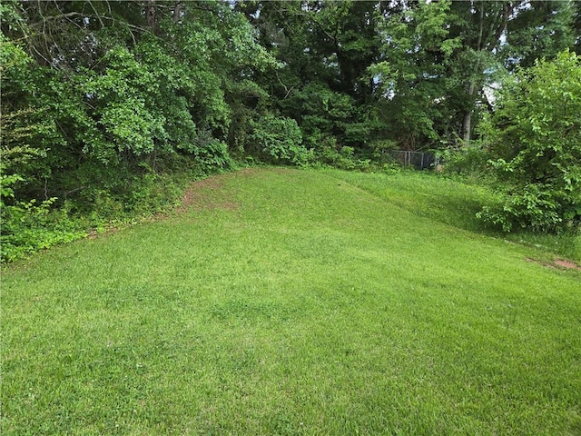 1753 Cahoon St SW, Atlanta, GA 30310 - view of green lawn