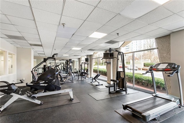 exercise room with floor to ceiling windows and a drop ceiling