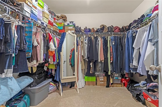 spacious closet featuring carpet floors