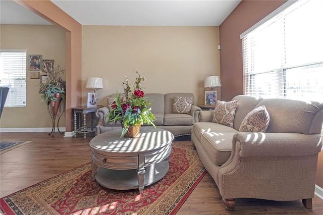 living room featuring a healthy amount of sunlight, baseboards, and wood finished floors