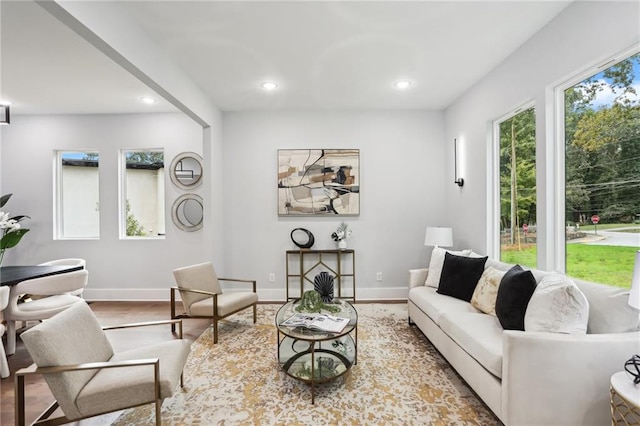 living room featuring light hardwood / wood-style flooring