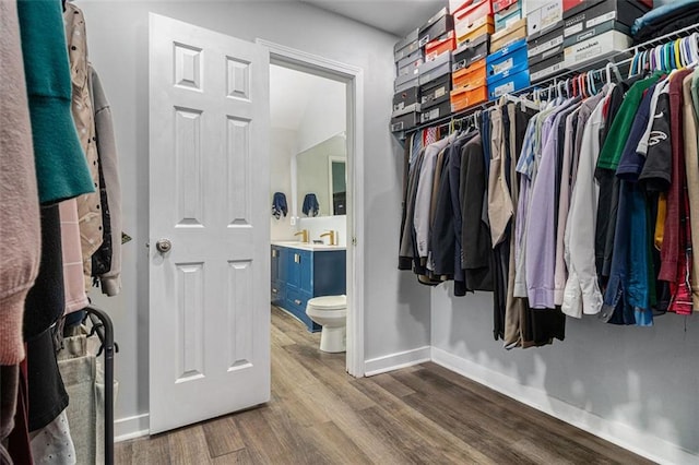 walk in closet with sink and wood-type flooring