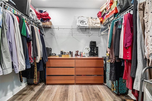 walk in closet with dark hardwood / wood-style floors