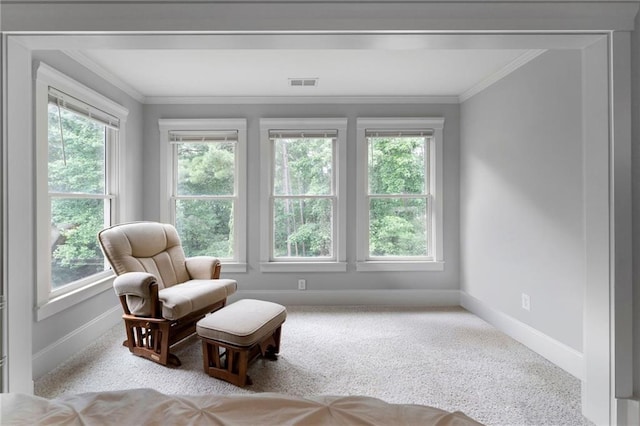 32 Pullman Trl, Acworth, GA 30101 - living area with healthy amount of natural light, crown molding, and carpet flooring