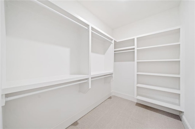 spacious closet with carpet floors