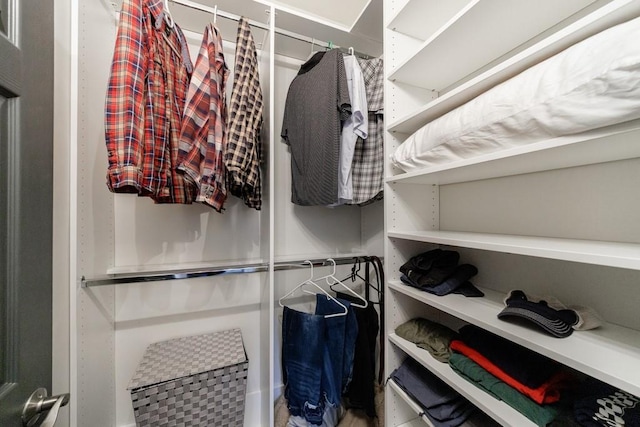 view of spacious closet