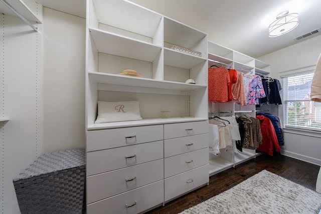 walk in closet featuring dark wood-type flooring and visible vents