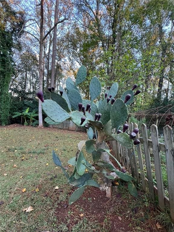 1017 Clifton Dr, Macon, GA 31204 - view of yard