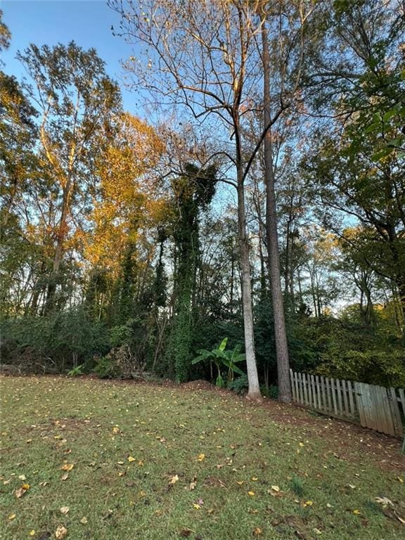 1017 Clifton Dr, Macon, GA 31204 - view of yard