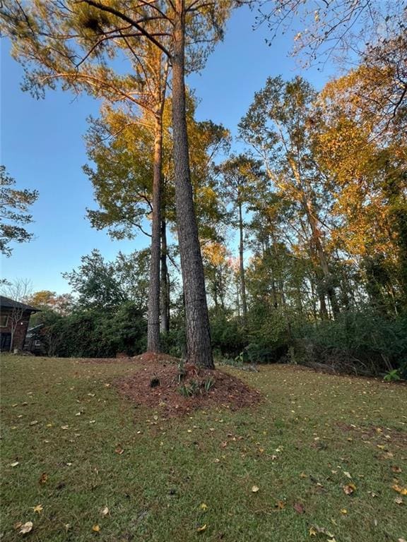 1017 Clifton Dr, Macon, GA 31204 - view of green lawn