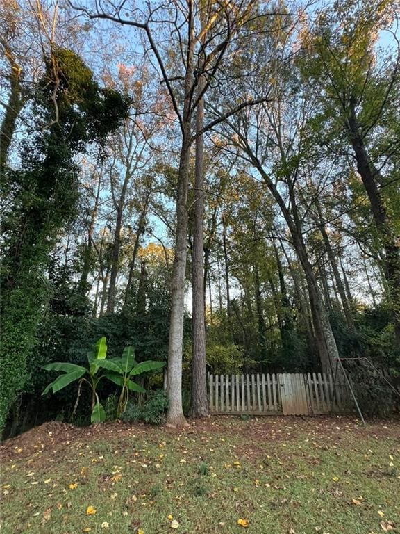 1017 Clifton Dr, Macon, GA 31204 - view of yard