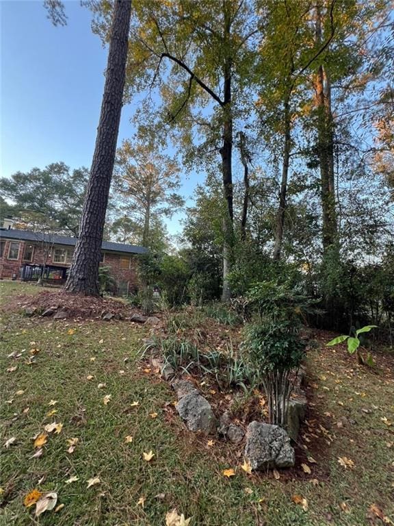 1017 Clifton Dr, Macon, GA 31204 - view of yard