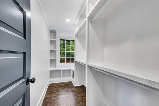 walk in closet featuring dark hardwood / wood-style floors