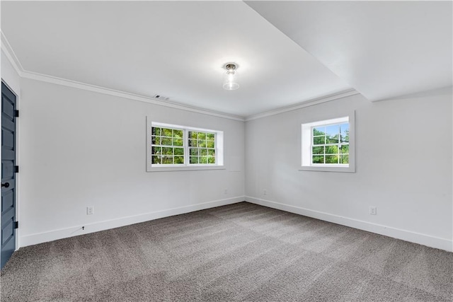 carpeted empty room with crown molding and a healthy amount of sunlight