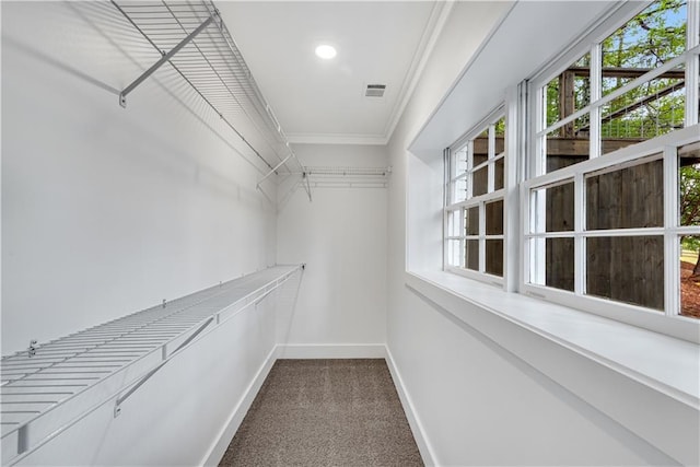 spacious closet with carpet