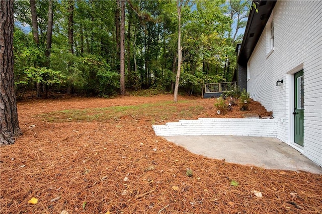 view of yard with a patio area