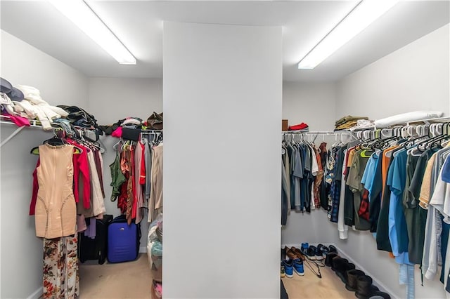 view of spacious closet