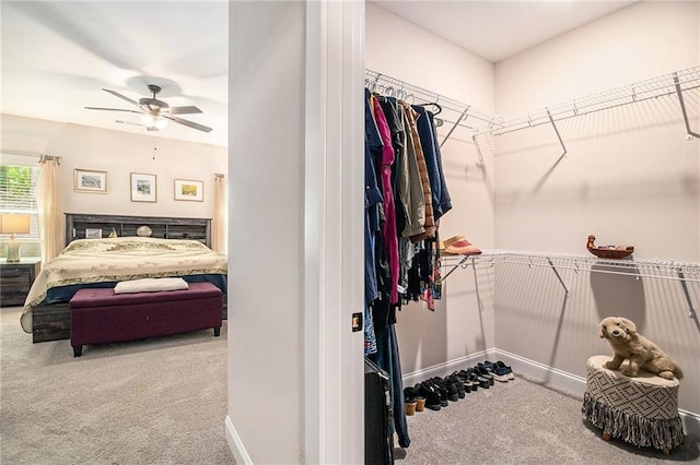 spacious closet featuring carpet floors and a ceiling fan