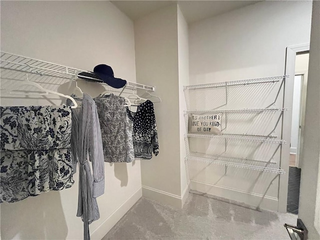 1005 Liberty Springs Dr, Woodstock, GA 30188 - view of spacious closet