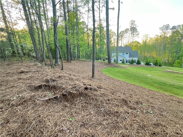 1005 Liberty Springs Dr, Woodstock, GA 30188 - view of grassy yard