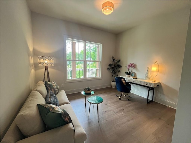 1005 Liberty Springs Dr, Woodstock, GA 30188 - office with wood finished floors and baseboards