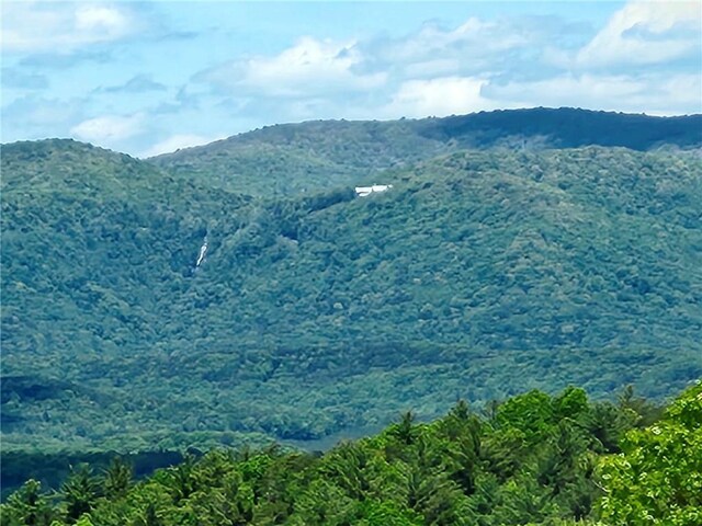 711 Wildcat Dr, Big Canoe, GA 30143 - view of mountain background with a forest