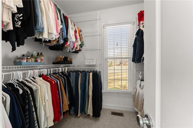 spacious closet with carpet flooring