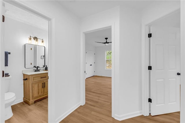 interior space with sink and light hardwood / wood-style flooring