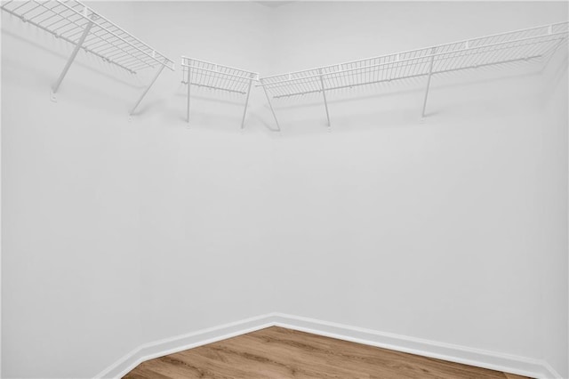 spacious closet featuring hardwood / wood-style flooring