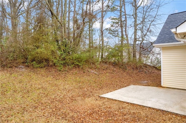 view of yard featuring a patio