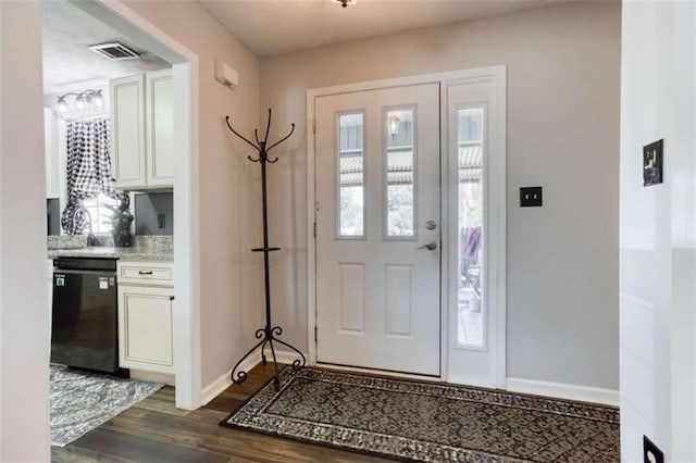 foyer entrance featuring dark wood-type flooring and sink