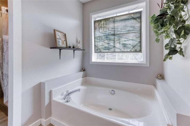 bathroom with a bathing tub