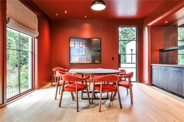 dining room with light hardwood / wood-style flooring