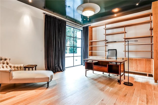 office featuring light hardwood / wood-style floors