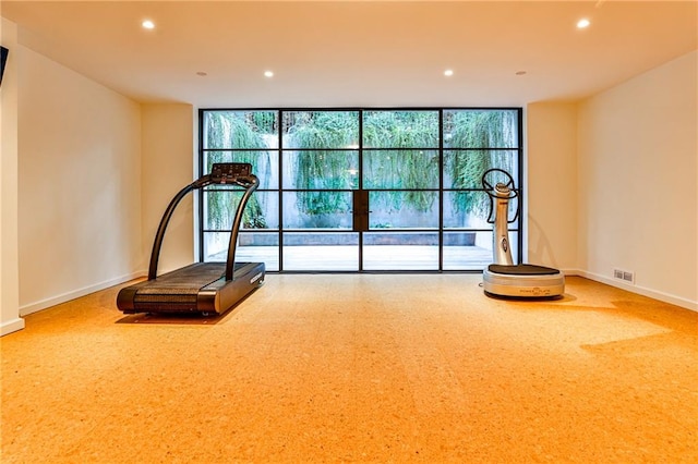 workout room with expansive windows and carpet floors