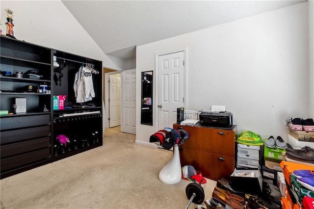 bedroom with lofted ceiling and light colored carpet