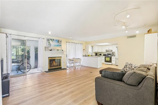 living room featuring sink and light wood-type flooring