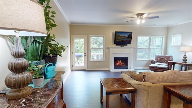 living room with ornamental molding, ceiling fan, a wealth of natural light, and dark hardwood / wood-style floors