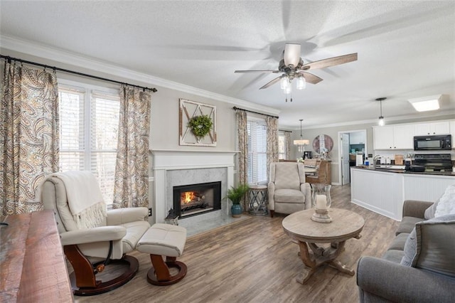 living room with wood-type flooring, a fireplace, ornamental molding, and a textured ceiling