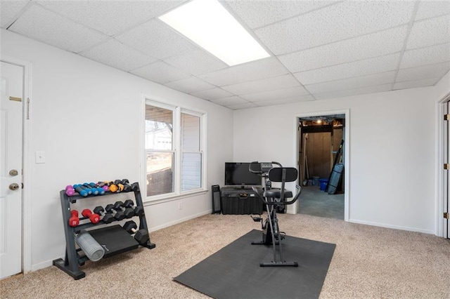 exercise room with carpet and a paneled ceiling