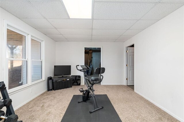 workout area featuring a drop ceiling and carpet floors